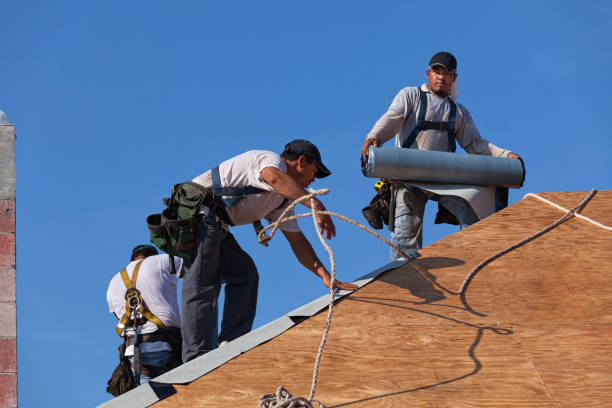 Quick and Trustworthy Emergency Roof Repair Services in Avonia, PA